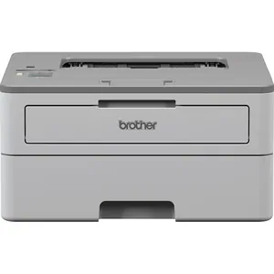 Замена принтера Brother HL-B2080DW в Санкт-Петербурге